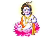Krishna Associates